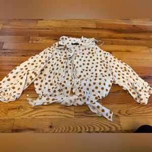 Zara Cream and Brown Polka Dot Blouse